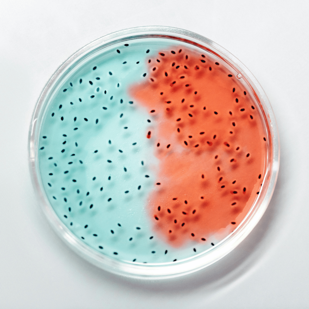 Microbiología